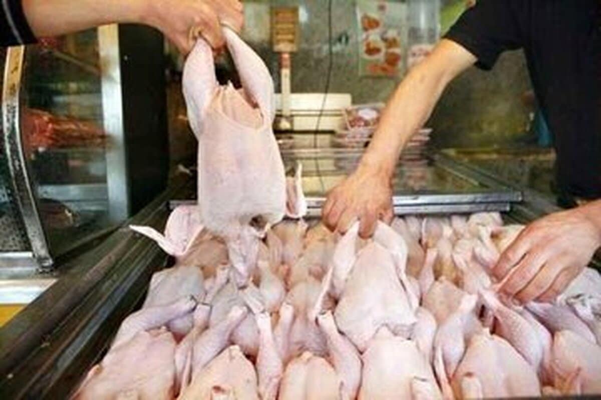 توزیع روزانه تا ۱۵۰۰ تن گوشت مرغ در تهران