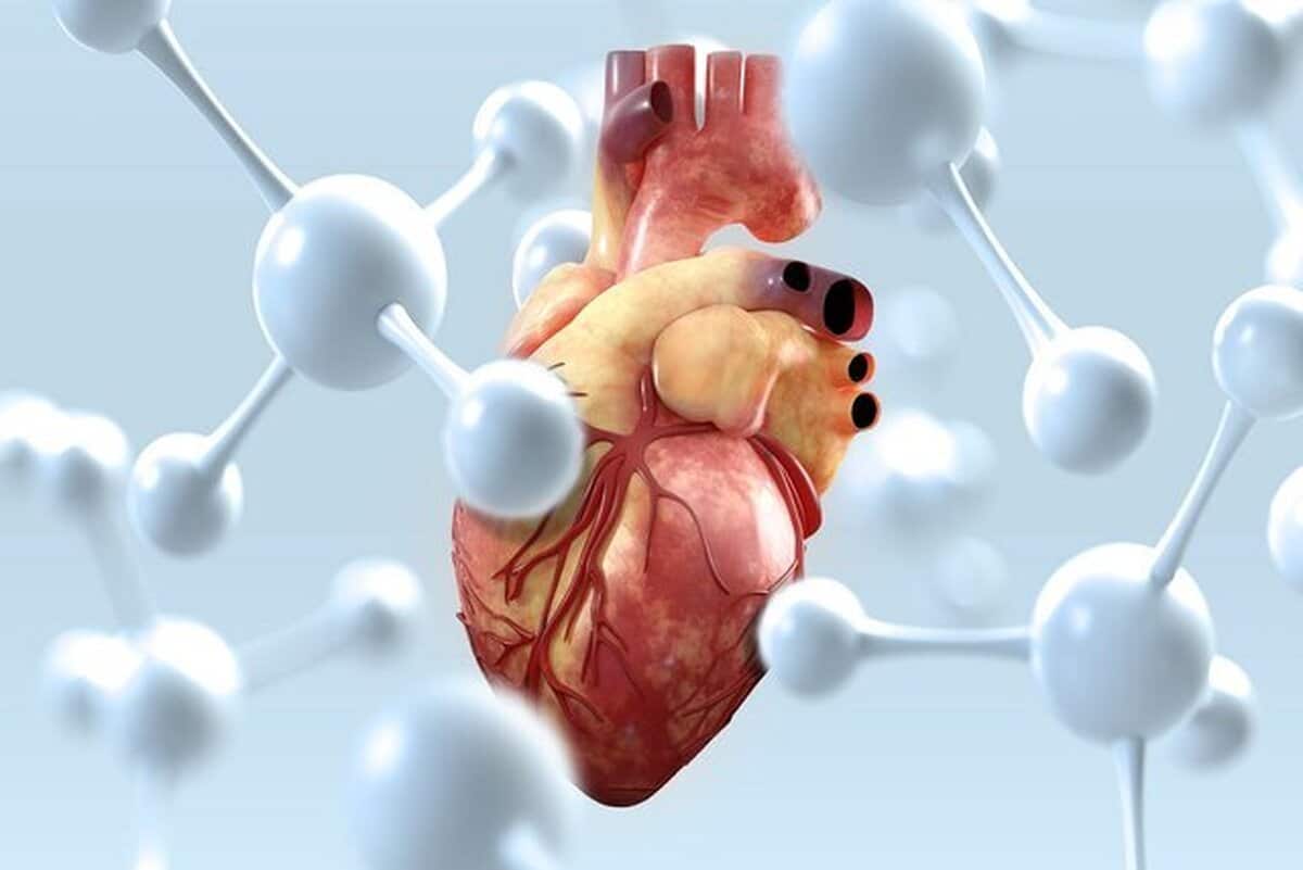 راهکار طب سنتی برای تقویت قلب