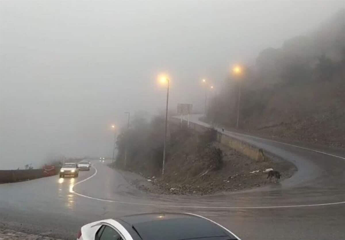 مه‌گرفتگی و باران در جاده‌های ۲ استان