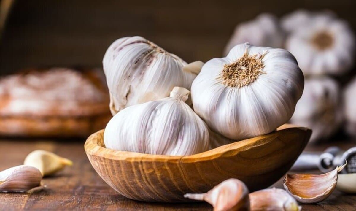 این روش نگهداری از سیر باعث سمی شدن آن میشود