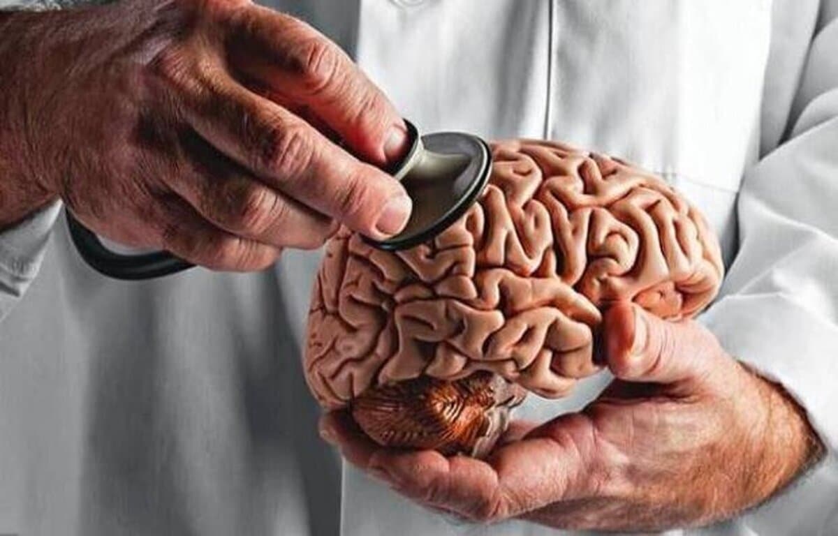 استرس مزمن چه آسیبی به مغز می‌رساند؟