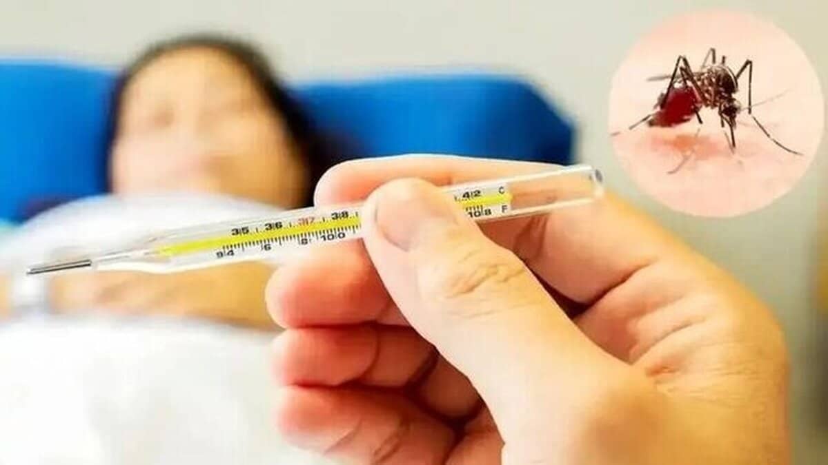 آمار ابتلا به تب دنگی در سال ۱۴۰۴ اعلام شد