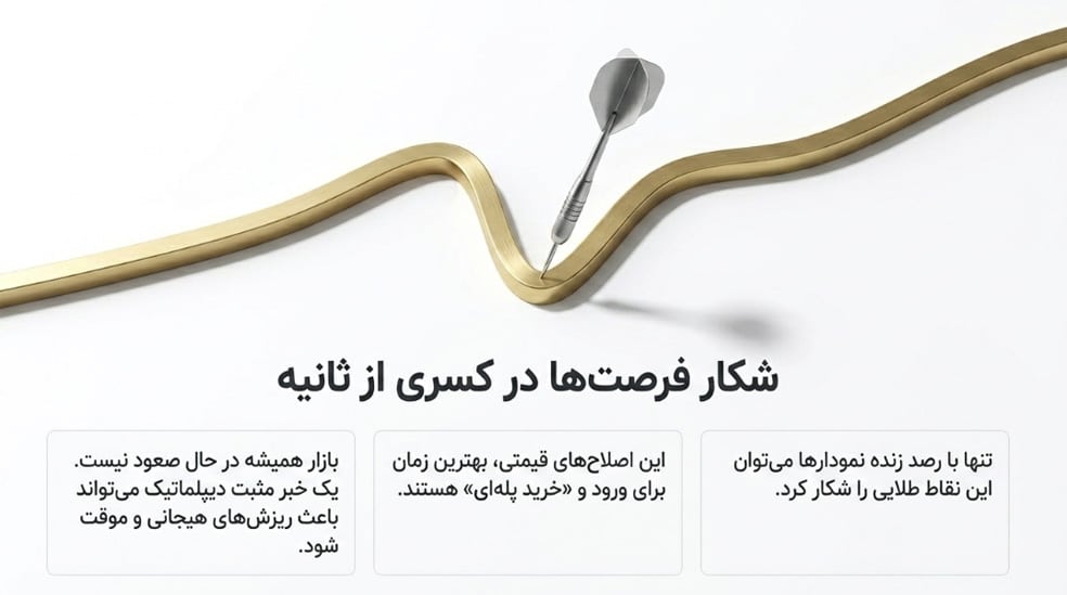 شکار فرصت ها در نوسانات بازار