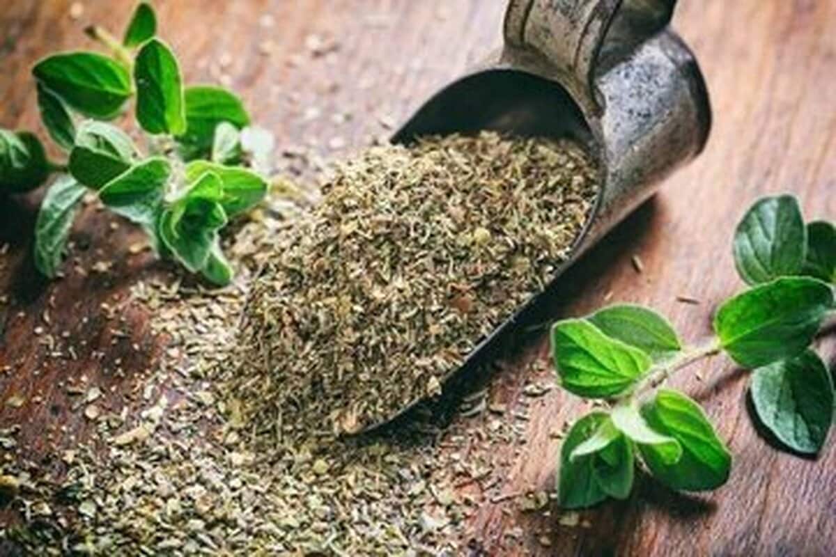 گیاه خوش‌عطری که برای کاهش فشار و چربی خون معجزه می‌کند