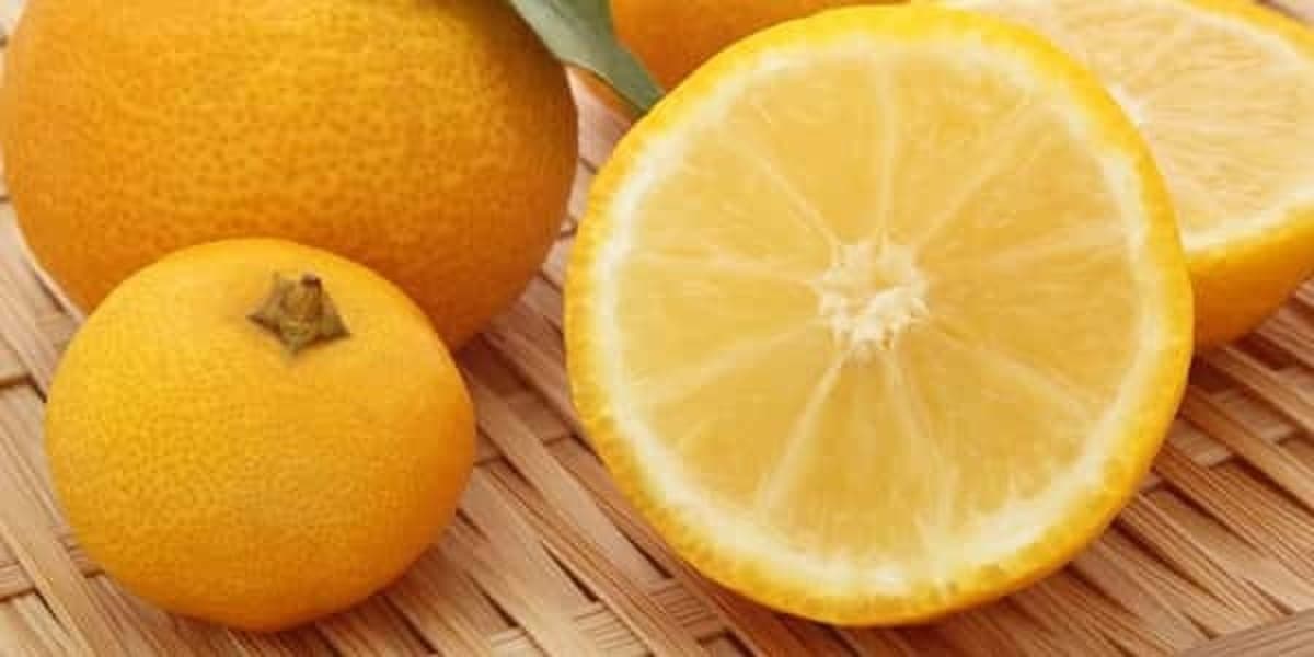 این میوه پاییزی، کبد و معده را تقویت و صفرا را پاکسازی می‌کند