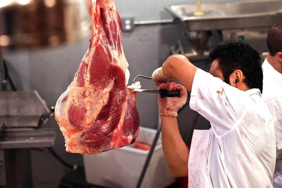 واردات گوشت گرم گوساله از پاکستان وبرزیل | قیمت گوشت وارداتی چند؟