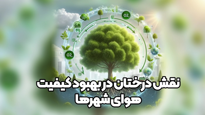 کره زمین که درختان باعث تولید اکسیژن میشوند