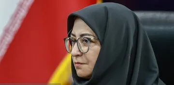 شینا انصاری