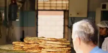 قیمت نان