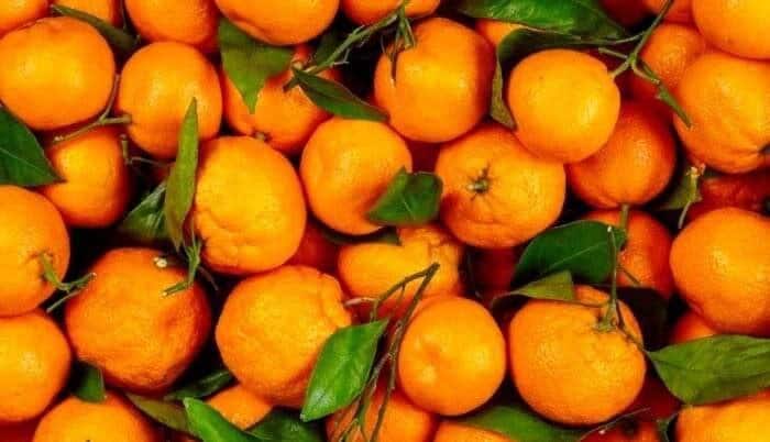 این میوه‌ خوشمزه پاییزی درمان چند بیماری است