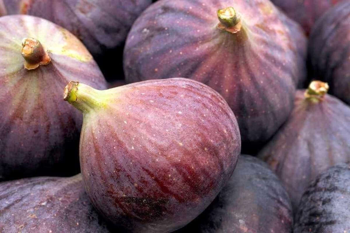 التهاب زدایی، ضد سرطان و فشار خون و بهبود سلامت جنسی، همه در یک میوه تابستانی