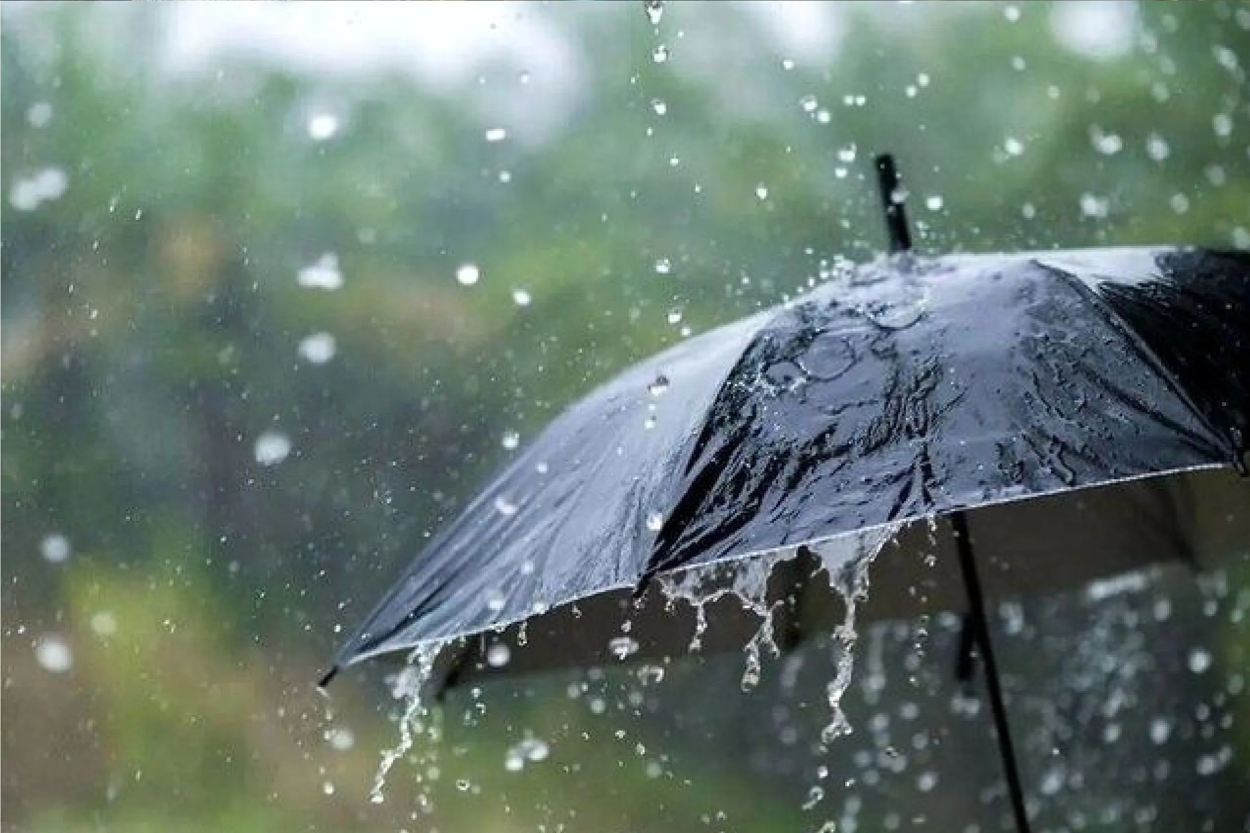 هواشناسی