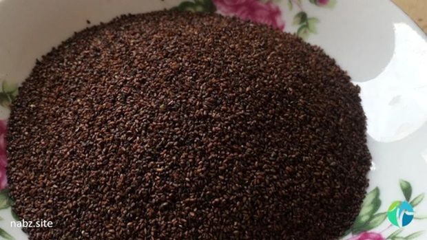 درباره خواص بارهنگ چه می‌دانید؟