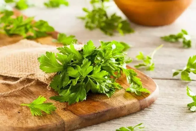 جعفری