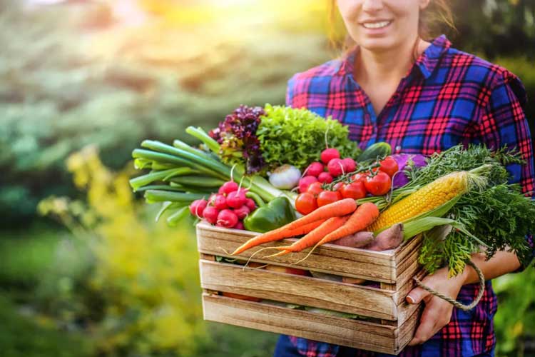 بهترین رژیم غذایی برای داشتن مغزی سالم و فعال چیست؟