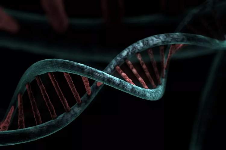 فشردهسازی ۳۰۰ برابری دادههای DNA و تحول در پژوهشهای ژنوم با «متاگراف»