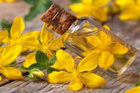 دمنوش این گل استرس را از روح و روان شما محو می‌کند