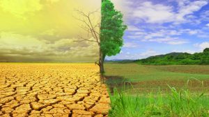 «ایجاد سد و عدم تأمین حق آبه از رودهای مرزی» از عوامل اقلیمی در مناطق مرزی کشور