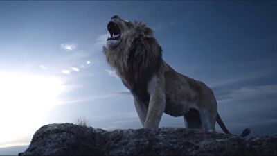 با دیدن این ویدئو متوجه می شوید که چرا شیر سلطان جنگل است و نه ببر!