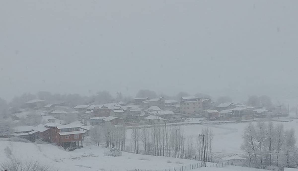 برف و باران در مازندران