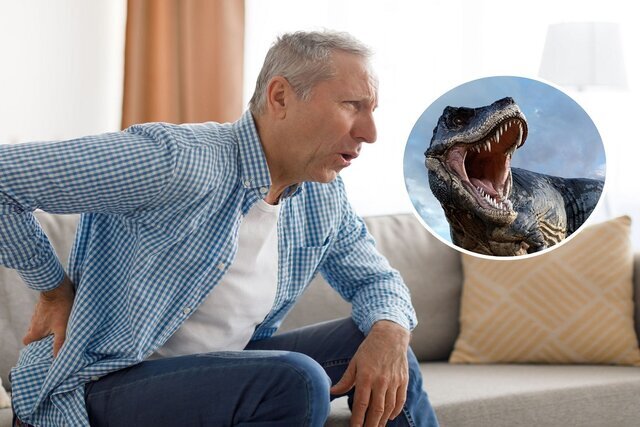 دایناسورها عامل درد مفاصل و پیری ما هستند