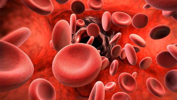 دلایل اصلی ایجاد کم خونی در بدن