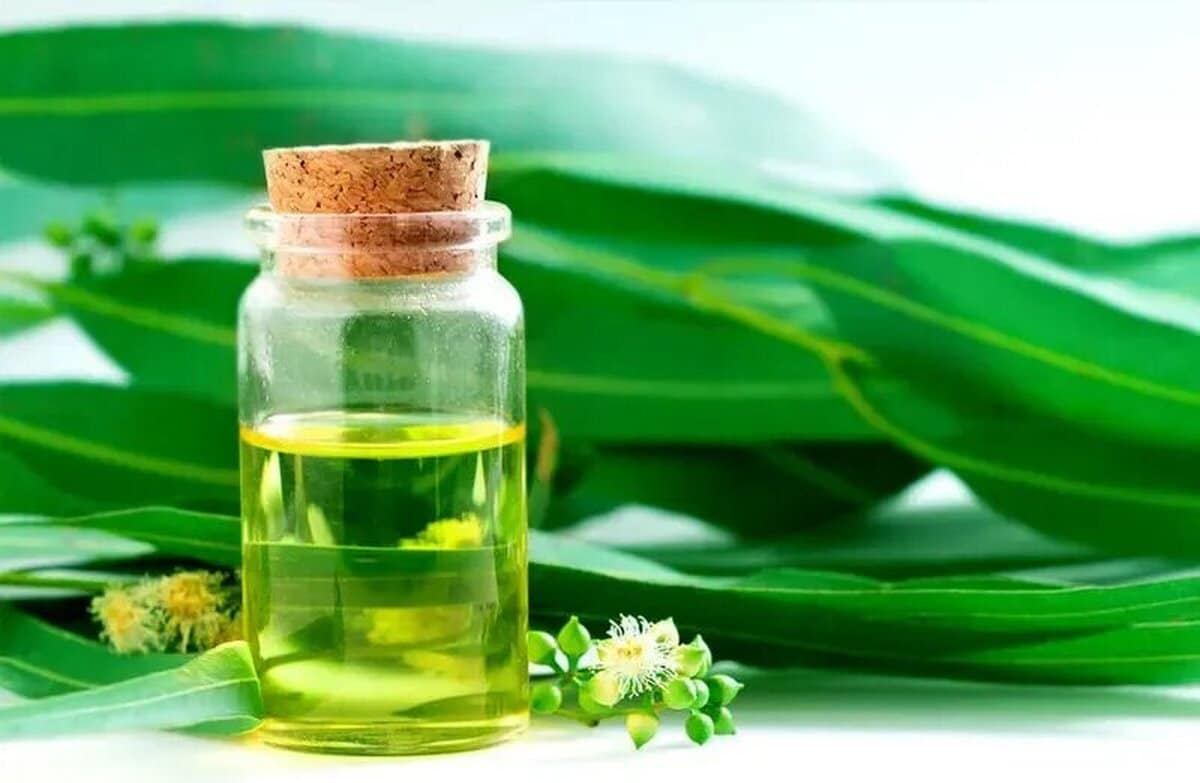 روغن‌های گیاهی که برای درمان آلرژی بهار معجزه می‌کند