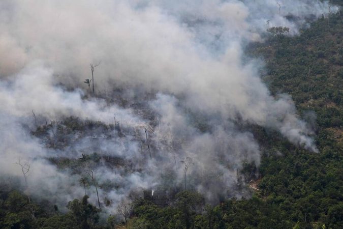 معاهده مقابله با جنگل‌زدایی در آمازون امضا نشد