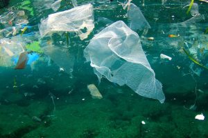 وجود ۱۷۰ تریلیون ذره پلاستیکی در دریاها و اقیانوس‌ها/ پلاستیک بلای جان آبزیان