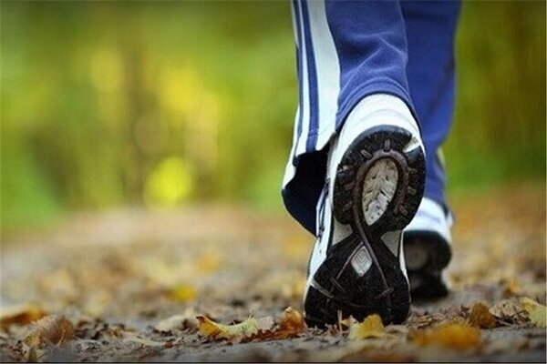 پیاده روی خطر مرگ زودرس را کاهش می‌دهد؟